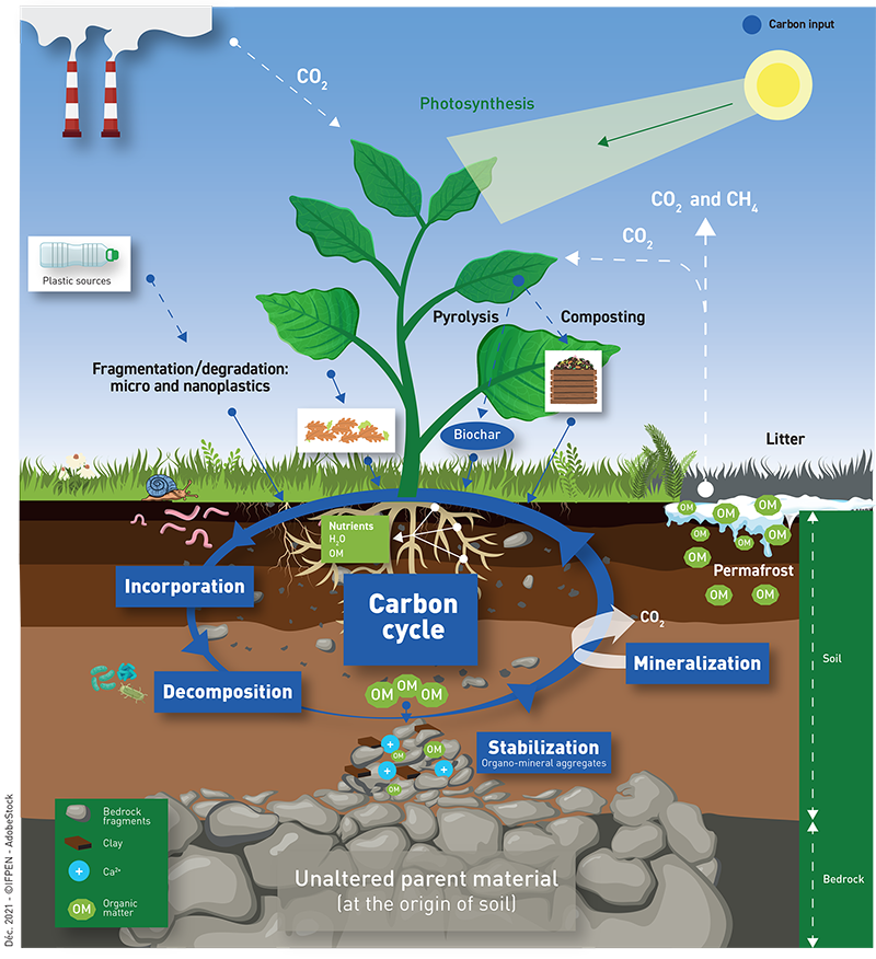 Illustration of research conducted at IFPEN 